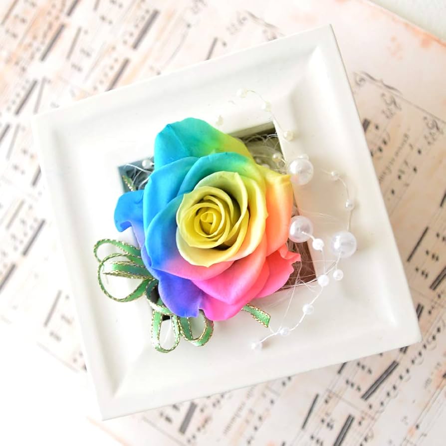 Amazon｜プリザーブドフラワーギフト レインボーローズ フレーム 1個